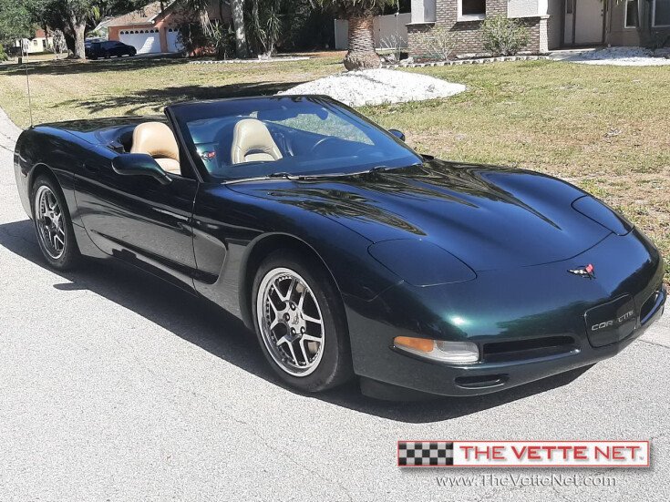 Thumbnail Photo undefined for 2000 Chevrolet Corvette Convertible